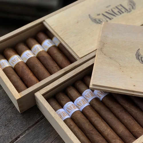 ANGEL CORONA 2